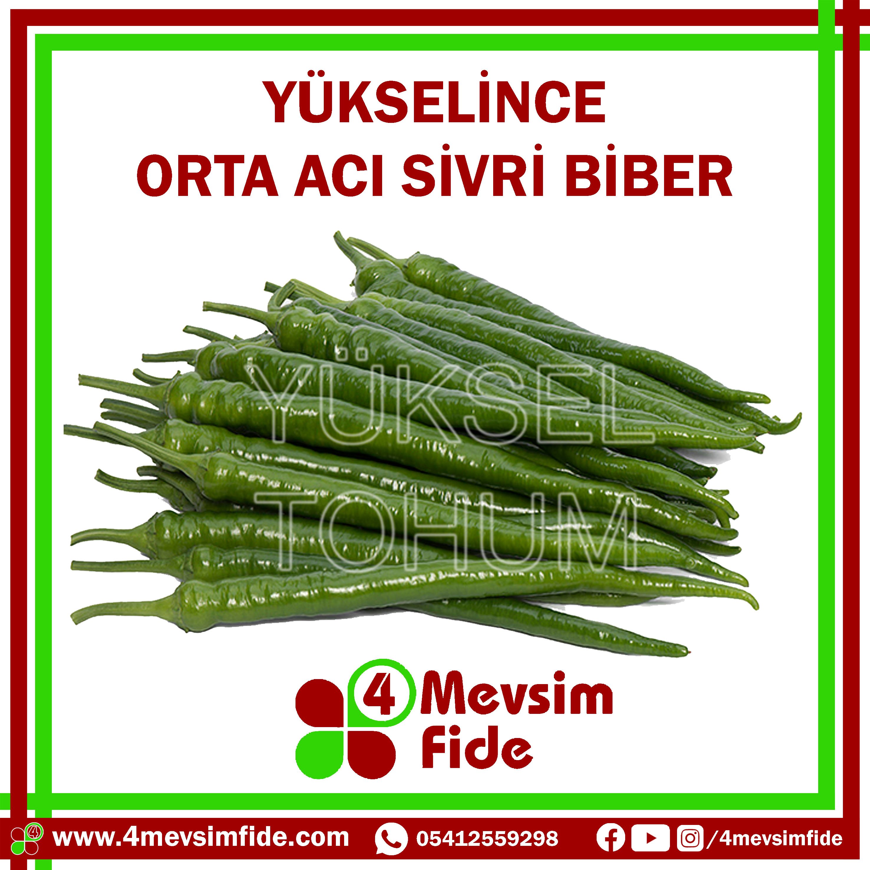 Yükselince F1 Sivri Biber